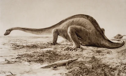 Brachiosauro